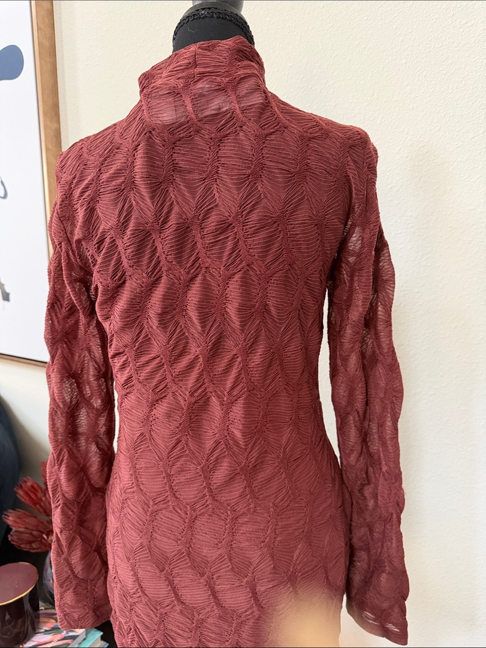 ANTONIO MELANI Textured Long-Sleeve Maxi Dress in wine-brown - Picture 5 of 6